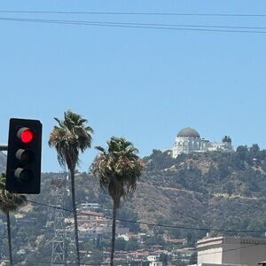 🌴 FINALLY selling a few of my pieces!